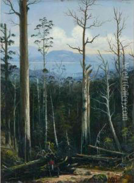 Tasmanian View Oil Painting - H. Forrest