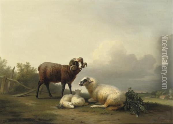 Sheep Resting In The Pasture Oil Painting - Franz van Severdonck