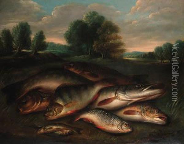 A Pike, A Tench, Salmon, Trout And Perch On A Riverbank Oil Painting - Henry Leonidas Rolfe