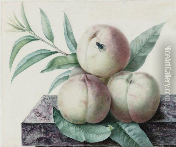 Peaches Oil Painting - Pancrace Bessa