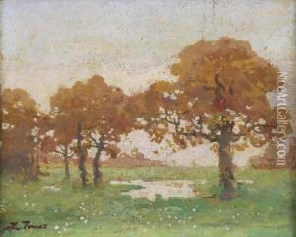 Pejzaz Z Drzewami Oil Painting - Iwan Trusz