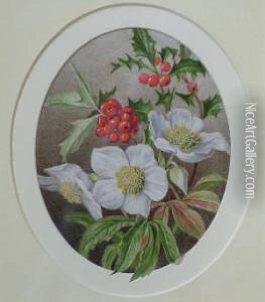 Botanical Study Oil Painting - Mary Elizabeth Duffield