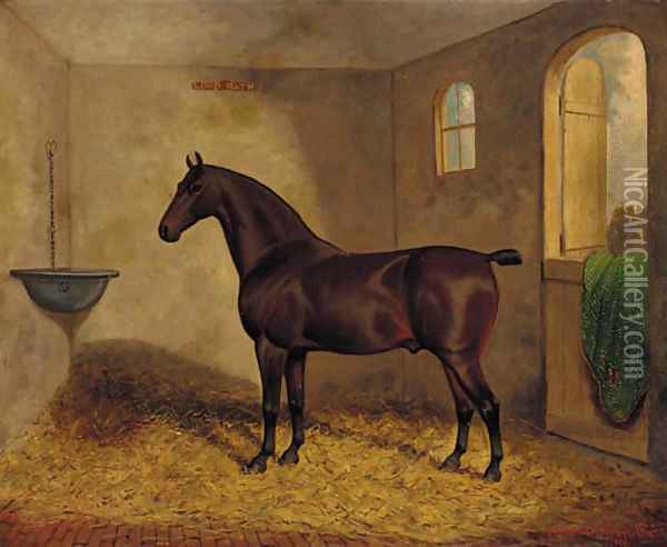 Lord Bath, a bay horse in a stable Oil Painting - Frederick Albert Clark