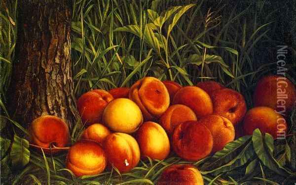 Peaches Oil Painting - Levi Wells Prentice