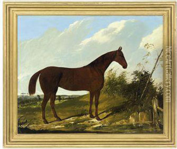 A Chestnut Hunter In A Pastoral Landscape Oil Painting - Joseph Dunn Of Worcester