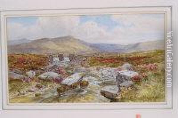 Extensive Moorland Landscape Oil Painting - Charles Branwhite