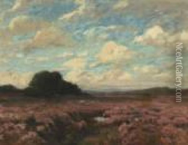 Bluhende Heide Oil Painting - Am Hans Ende