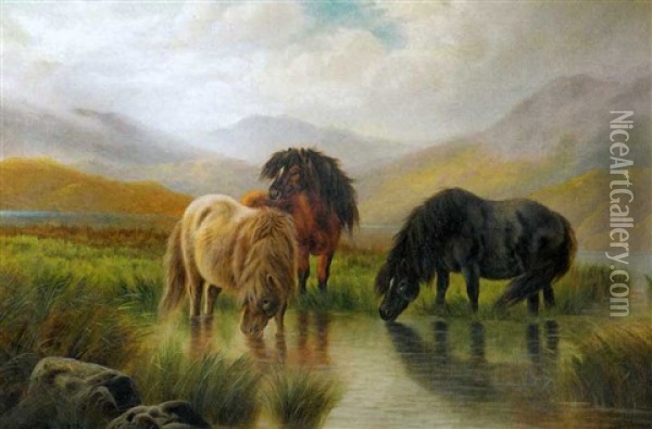Shetland Horses Watering At Mountain Lake Oil Painting - William Perring Hollyer