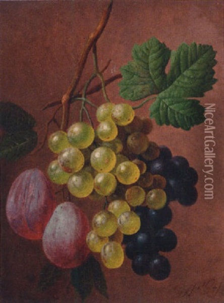 Grapes And Plums Oil Painting - Georgius Jacobus Johannes van Os