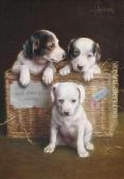 Three Puppies With A Basket. Oil Painting - Carl Reichert