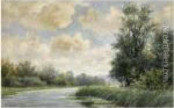 A Sunlit Polder Landscape Oil Painting - Willem Roelofs