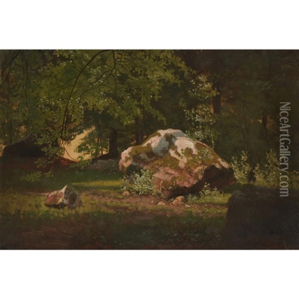 Rock And Forest Study Oil Painting - Albert Bierstadt