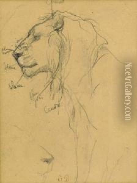 Two Studies Of A Lion's Head Oil Painting - Eugene Delacroix