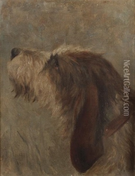 Sketch Of An Otterhound Oil Painting - Frances C. Fairman