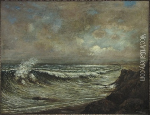 Stormy Surf Oil Painting - Douglas Alexander