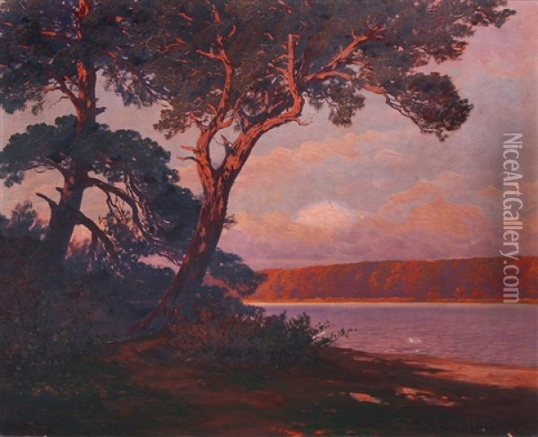Markischer See Im Abendrot Oil Painting - Rudolf Hellgrewe