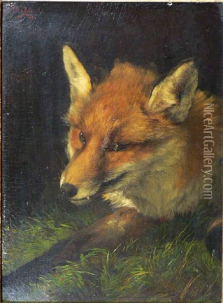 Liegender Fuchs Oil Painting - Bela Pallik