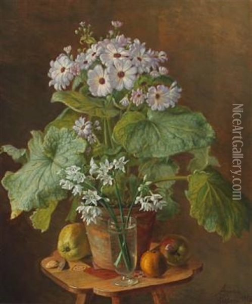 Still Life With Cineraria Oil Painting - Anina Poulsen