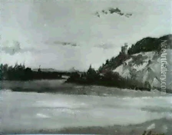 Donaulandschaft Oil Painting - Ignaz Ellminger