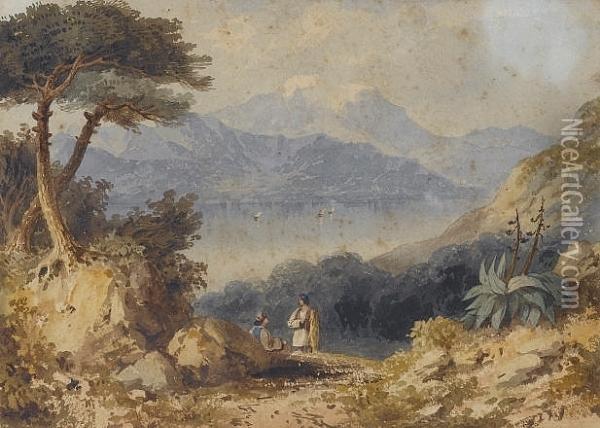 The Gulf Of Volo And Mount Pelion Oil Painting - William Page