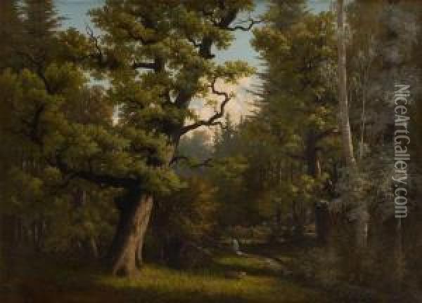 Cerf Et Biche Dans Uneclairiere Oil Painting - Karl Christian Wymann-Mory