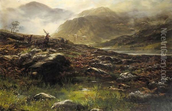 Deer in the highlands Oil Painting - John Howard Lyon