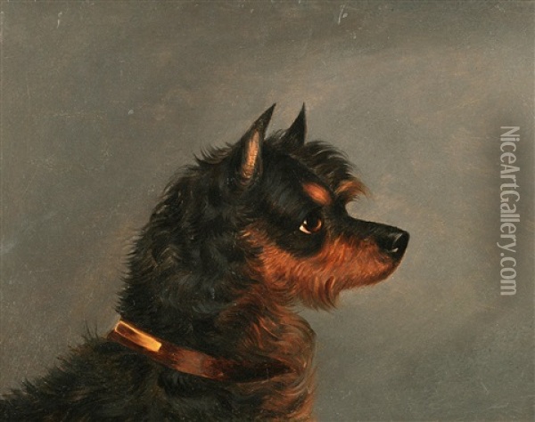 Head Of A Norwich Terrier Oil Painting - Edwin (of Bath) Loder