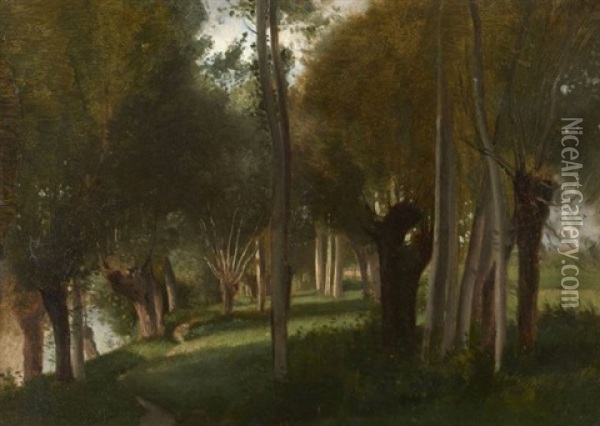 Arbres Pres D'une Riviere Oil Painting - Adolphe Felix Cals