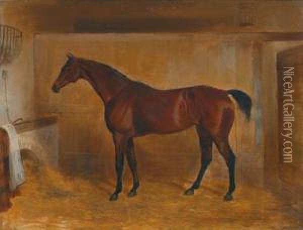 A Thoroughbred Bay In The Stable Oil Painting - William Webb