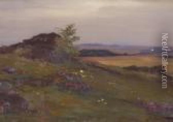 Weite Landschaft Mit
 Felsblocken. Oil Painting - Josef Straka
