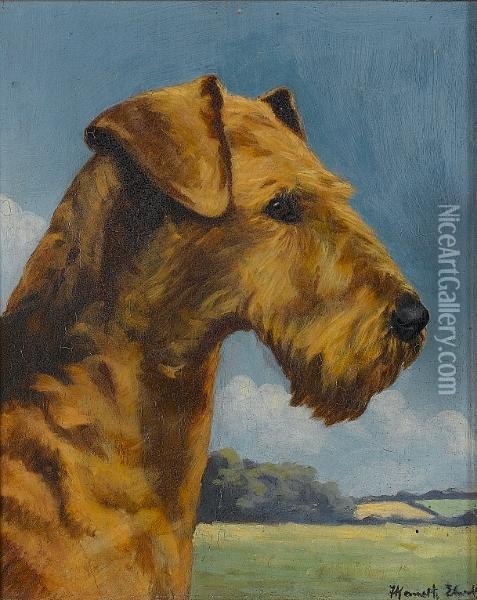 Portrait Of The Airedale Terrier Bitch Sudstone Vivien Oil Painting - Kenneth Elwell