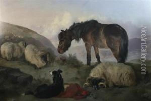 Highland Sheep No.3 Oil Painting - George W. Horlor
