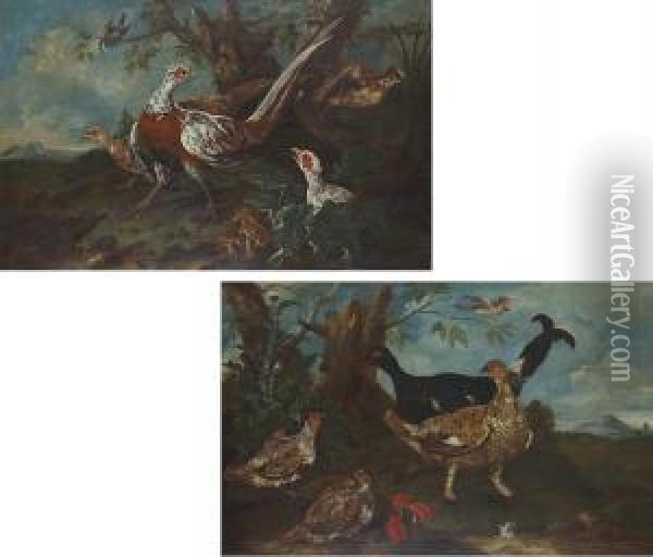 Pheasant In A Landscape; And A Pheasant And Other Birds Oil Painting - Ferdinand Phillip de Hamilton