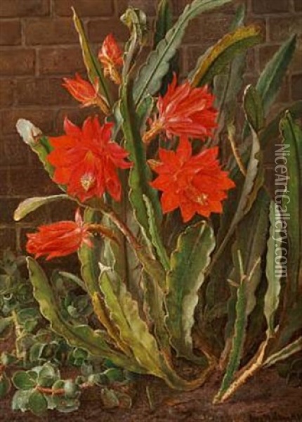 Cactus In Bloom Oil Painting - Christian Juel Moellback