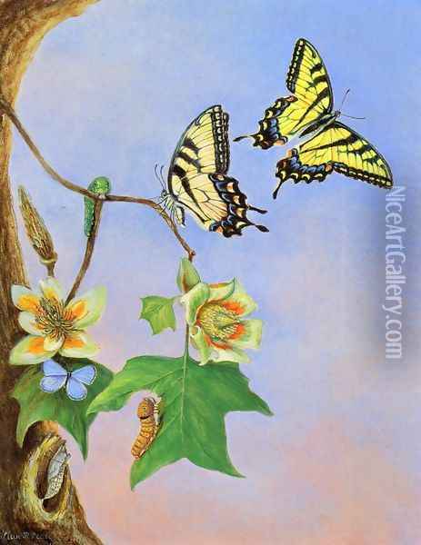 Butterflies I Oil Painting - Titian Ramsay Peale