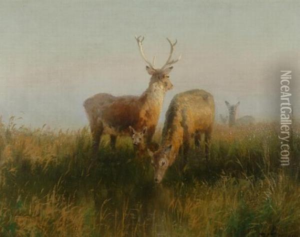 Elk Losing Their Winter Coat, Circa Oil Painting - Herman Herzog