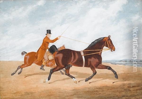 Horse And Rider Oil Painting - Edwin, Beccles Of Cooper