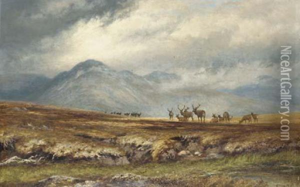 Stags In A Mountain Landscape Oil Painting - Charles Grey