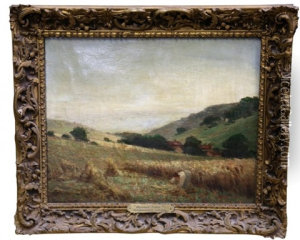 Harvest Time Oil Painting - Alexander Young