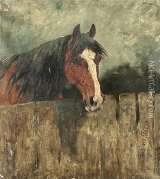 Study Of A Horse At A Fence Oil Painting - John Emms