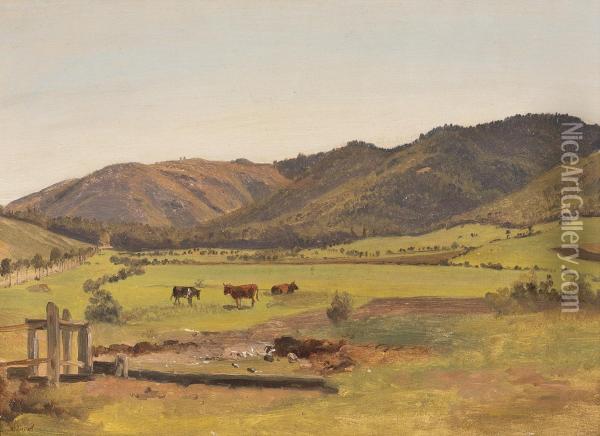 Kuhe Auf Der Weide Im Tal Oil Painting - Julius Schonrock