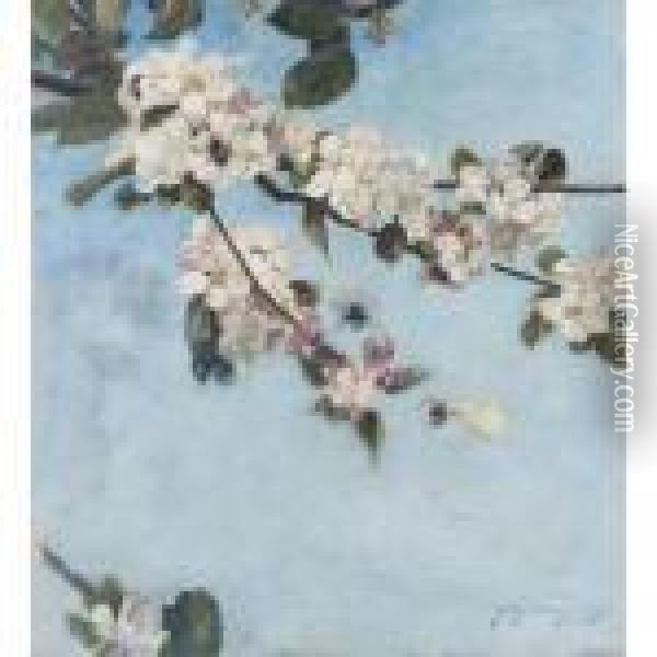 Apple Blossom Oil Painting - David Murray