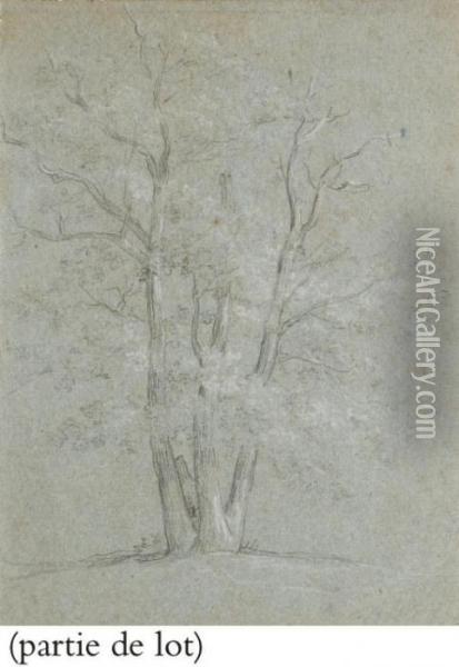 Suite De Trois Etudes D'arbres Oil Painting - Jean-Baptiste Huet I