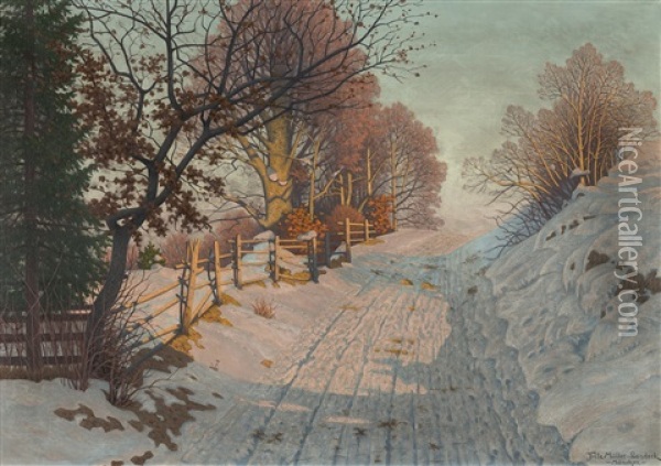 Winterlandschaft Im Sonnenlicht Oil Painting - Fritz Mueller-Landeck