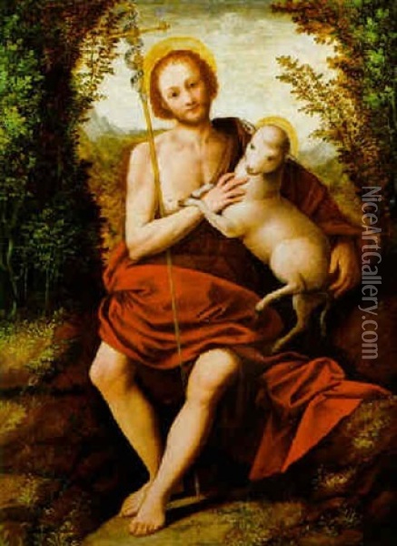 San Giovanni Battista Oil Painting - Bernardino Lanino