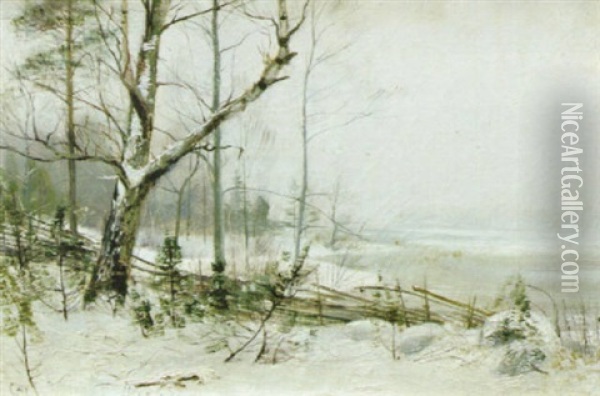 Decemberdag Oil Painting - Carl (August) Johansson