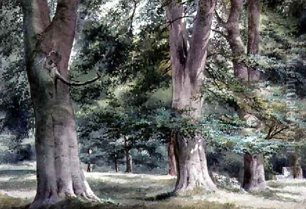 Study of Beech Trees Oil Painting - Thomas Collier