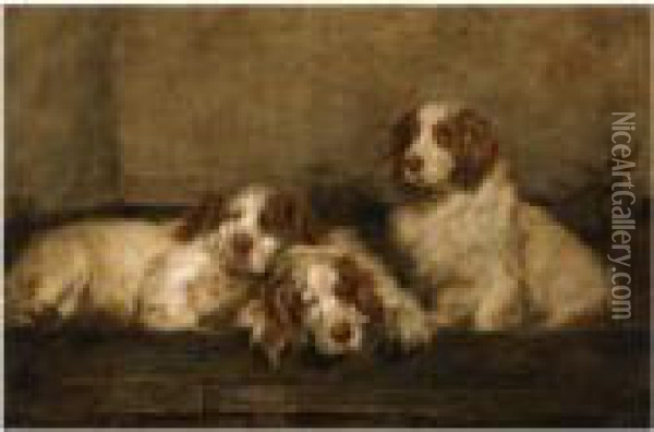 Clumber Spaniels In A Kennel Oil Painting - John Emms