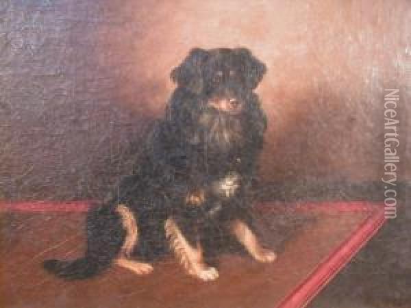 A Study Of A Seated Spaniel Oil Painting - Wt Monogrammist