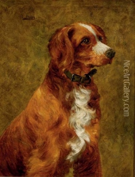 Portrait Of An English Setter Oil Painting - Clarence E. Braley